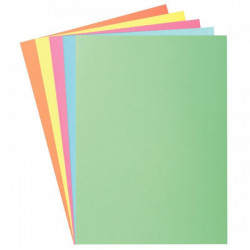 SOUS CHEMISES 60G  ASSORTIES PQT 250  PEFC FAB FRANCE SUPER 60G 22x31