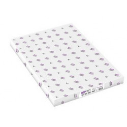 PAPIER DCP SRA3 45X32CM 90G BLANC CARTON 4XRAM500F ECOLABEL FSC FAB France 1849C