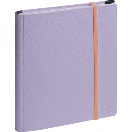 AGENDA SEMAINIER ALL IN ONE 15X21 PALOMA 16 mois de septembre à décembre. La semaine sur 1 page