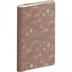 AGENDA SEMAINIER MÉLINE 9X16CM ROSE CLAIR 16 mois de septembre à décembre. La semaine sur 2 pages