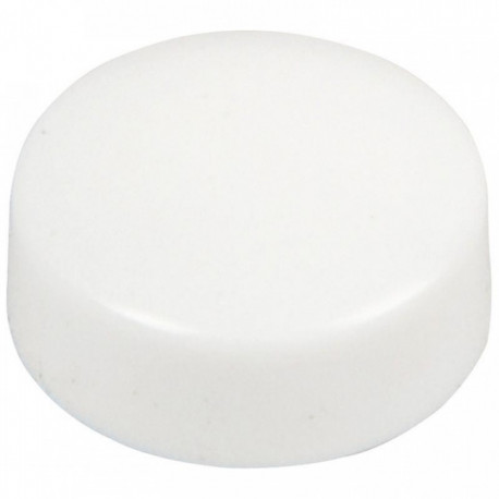 AIMANT 12MM BLANC PQT10  MAGNÉTIQUE