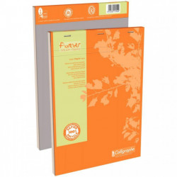 BLOC A4 70g 5X5 100F 200 PAGES   100% RECYCLE FOREVER  FAB France LIKE ANGE BLEU 17254C