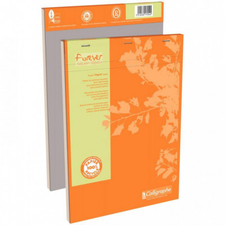 BLOC A4 70g 5X5 100F 200 PAGES   100% RECYCLE FOREVER  FAB France LIKE ANGE BLEU 17254C