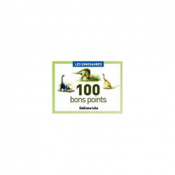 BOITE DE 100 IMAGES LES DINOSAURES