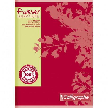 CAHIER PIQURE FOREVER 21X29.7 70G 96 PAGES SEYES RECYCLE FOREVER 17123C
