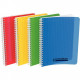 CAHIER SPIRALE 17X22 100P Grands carreaux SEYES 90G COUV POLYPRO CONQUERANT PEFC ECOLABLE FAB France  - PEFC - 100% recyclable
