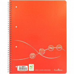 CAHIER SPIRALE A4+ 160P Grands carreaux SEYES 70G 4 TROUS A4 DETACHE COUV CARTON PEFC ECOLABEL FAB France - PEFC - 8% recyclé - 