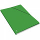 CARTON DE 10 CHEMISES ALPINA 80 VERT REF223031 DOS 15 ELBA 100210581