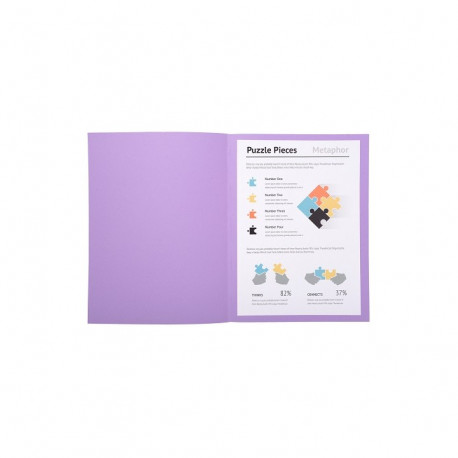 CHEMISE COULEURS VIVES SUPER 180  PEFC/ISO9706 24x32 LILAS PQT 100 340008E