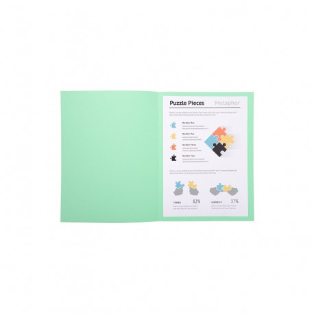 CHEMISE COULEURS VIVES SUPER 180 PEFC/ISO9706  24x32 VERT CLAIR PQT 100 34000