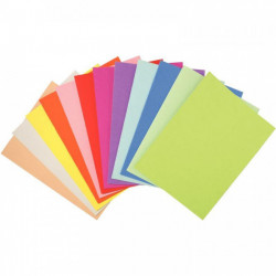 CHEMISES 170G FOREVER 180 ASSORTIES PQT50