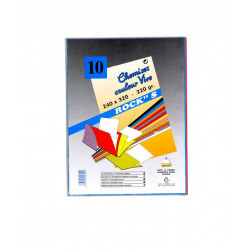 CHEMISES COULEURS VIVES ROCK ASSORTIES PQT10