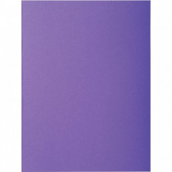 CHEMISES VIOLINE PQT 10 PEFC FAB FRANCE  ROCK'S 220 210G  FORMA