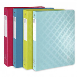 CLASSEUR PP A4 MAXI 4 ANN. 30 MM 1928 ASS. x10 51720E