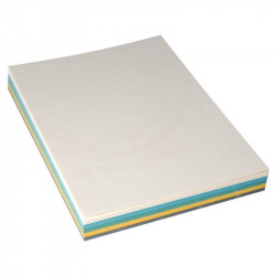  COUVERTURES GRAIN CUIR A4 250G  PQT100   ASSORTIS