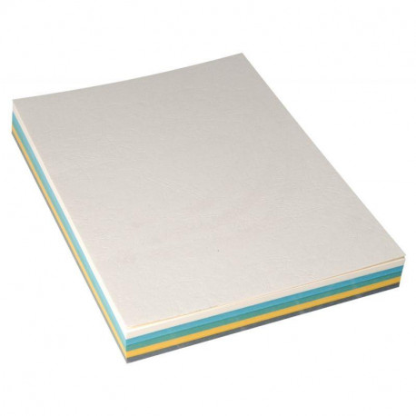  COUVERTURES GRAIN CUIR A4 250G  PQT100   ASSORTIS