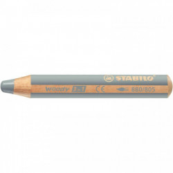 CRAYON DE COULEUR WOODY ARGENT