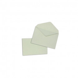 ENVELOPPE ÉLECTION PATE NON GOMMÉE 90x140mm VERT  BTE 1000 10300