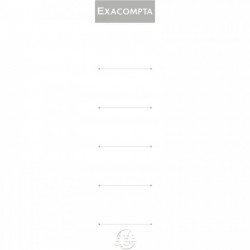 ÉTIQUETTES CARTONNÉES POUR CLASSEURS À LEVIER *LOT DE 10* FORMAT 18X3CM BLANC