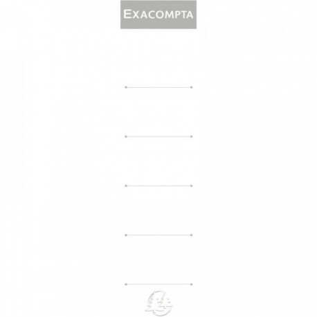 ÉTIQUETTES CARTONNÉES POUR CLASSEURS À LEVIER *LOT DE 10* FORMAT 18X3CM BLANC