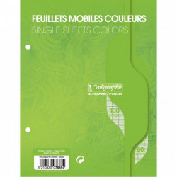 FEUILLE  MOBILE  (100 PAGES) FORMAT 17X22 CM SÉYÈS 80G COLORIS VERT PQT50 
