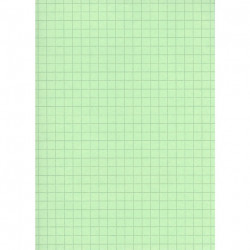 FICHE BRISTOL 125X200 5X5 PQT100F  VERT