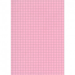 FICHE BRISTOL 148x210 5x5 ROSE PQT 100