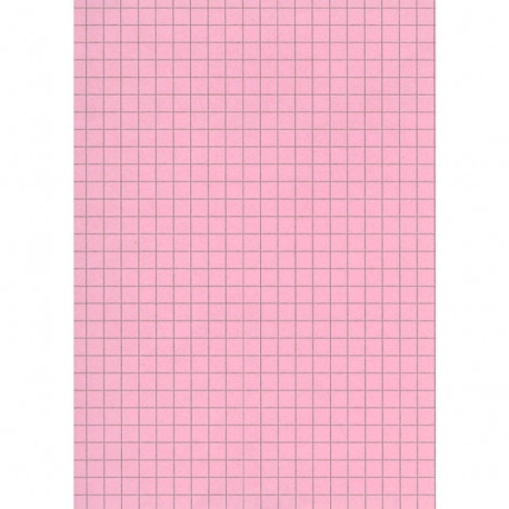 FICHE BRISTOL 148x210 5x5 ROSE PQT 100