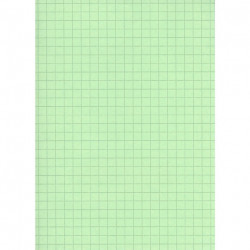 FICHE BRISTOL 210x297 5x5 VERT PQT 100