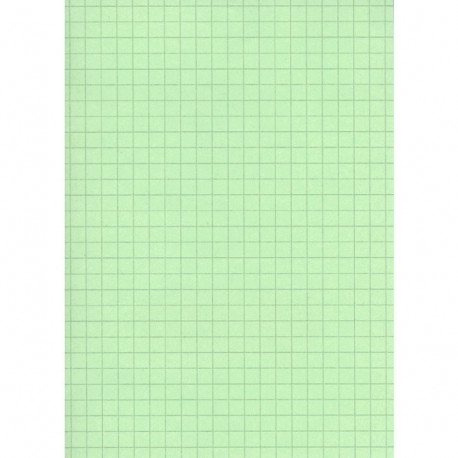 FICHE BRISTOL 210x297 5x5 VERT PQT 100