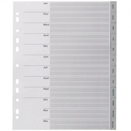 JEU DE 12 INTERCALAIRES MENSUELS EN POLYPROPYLÈNE GRIS FORMAT A4+