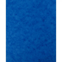 LOT DE 10 PROTÈGE-CAHIER 2 GRANDS RABATS FORMAT 18 X 22 CM CARTE LUSTRÉE COLORIS BLEU