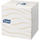  MOUCHOIRS 2 PLIS TORK BTE100 CUBIQUE ECOLABEL FSC 