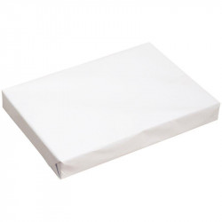 PAPIER BLANC A3 80G BLANC ÉCO RAMETTE DE 500F 100 % RECYCLABLE CIE136  DONT ECOFOLIO 0.26CTS EUROPE
