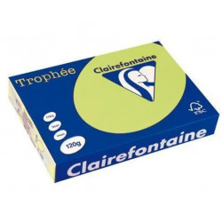 PAPIER REPRO A4 120GR   VERT GOLF P/250F