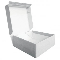 PAQUET 15 FSHION BOX 445X379X195