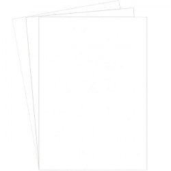 PAQUET DE 100 COUVERTURES GRAIN CUIR DELTA 250G A4 BLANC