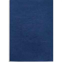 PAQUET DE 100 COUVERTURES GRAIN CUIR DELTA 250G A4 BLEU