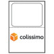 PAQUET DE 100 ÉTIQUETTES POUR COLISSIMO FORMAT 120 X 164MM