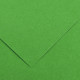 PAQUET DE 10 FEUILLES COLORLINE 50X65 CM 150 G VERT FRANC