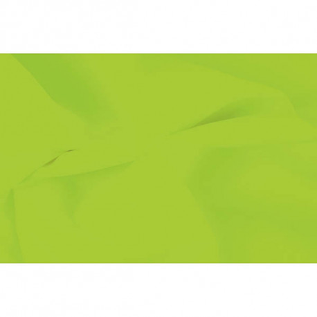 PAQUET DE 240 FEUILLES DE PAPIER DE SOIE 75X50CM VERT