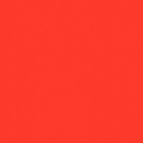 PAQUET DE 25 FEUILLES CARTOLINE 50X65 CM 130 G ROUGE