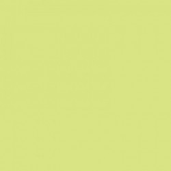 PAQUET DE 25 FEUILLES CARTOLINE 50X65 CM 130 G  VERT CLAIR