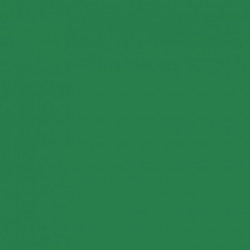 PAQUET DE 25 FEUILLES CARTOLINE 50X65 CM 130 G  VERT FONCÉ