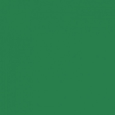 PAQUET DE 25 FEUILLES CARTOLINE 50X65 CM 130 G  VERT FONCÉ