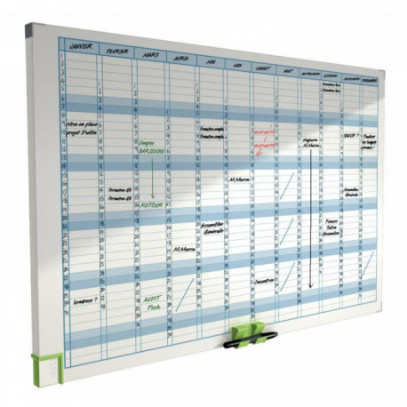 PLANNING PERFORMANCE ANNUEL RIGIDE 60X90CM  3048001
