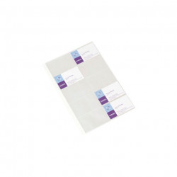 POCHETTES CARTE VISITE GEODE A4 LOT 10 VIQUEL 116110-06