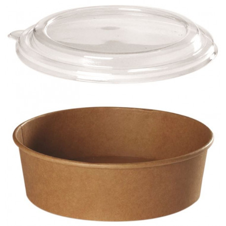 POT SALADE CARTON *PQT DE 300* 780CC