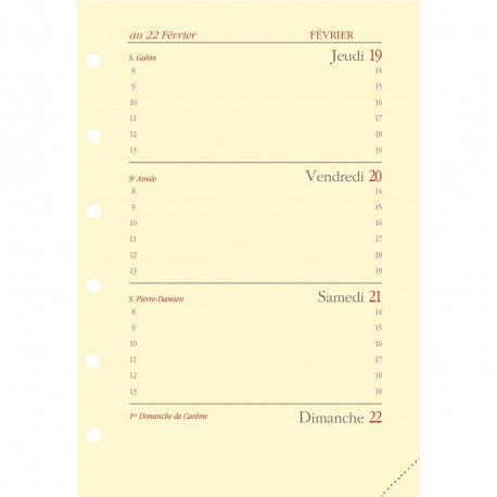 RECHARGE MILLÉSIMÉE ORIGAN TIMER 14 16 MOIS 8x12,5cm