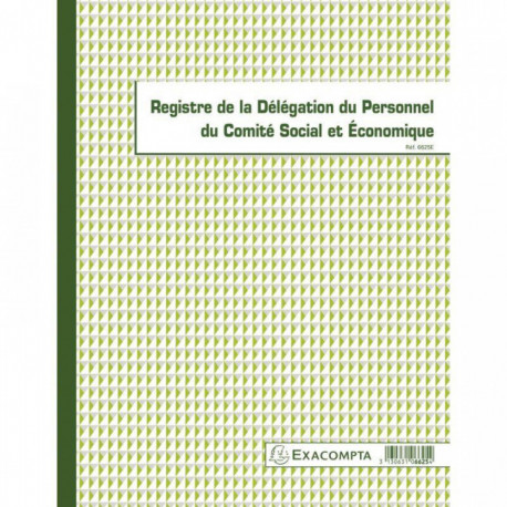 REGISTRE DE LA DÉLÉGATION DU PERSONNEL DU CSE